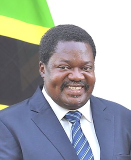 Dr Emmanuel Nchimbi - Ambassador